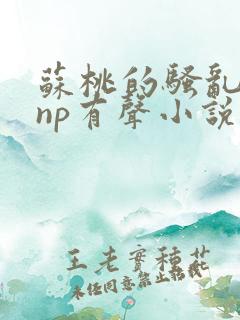 苏桃的骚乱文肉np有声小说