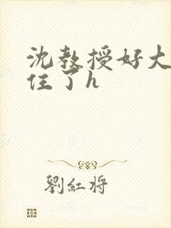 沈教授好大含不住了h