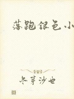 落跑银色小行星