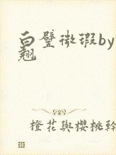 白璧微瑕by连翘