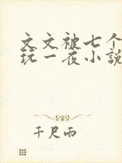 文文被七个男人玩一夜小说