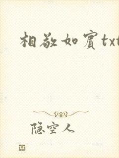 相敬如宾txt