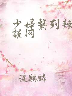 少妇系列辣文小说网