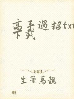高手过招txt下载