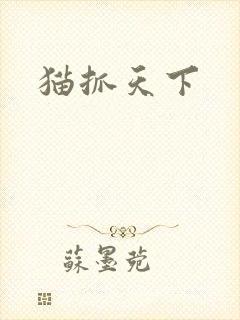 猫抓天下