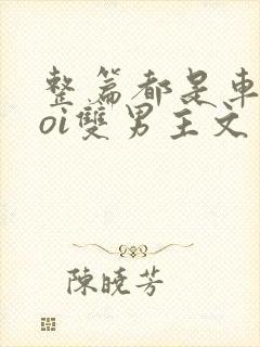 整篇都是车的doi双男主文