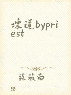 坏道bypriest