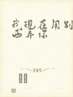 我现在用别的东西弄你