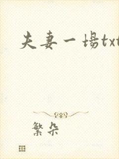 夫妻一场txt