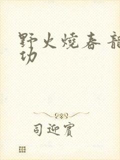 野火烧春 龙鸣功