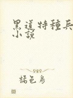 黑道特种兵有声小说