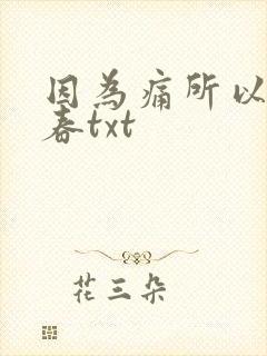 因为痛所以叫青春txt