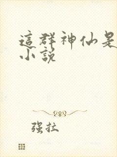 这群神仙是假的小说