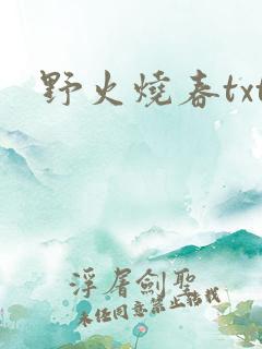 野火烧春txt