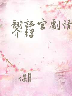 翻译官剧情分集介绍