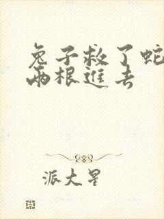 兔子救了蛇被蛇两根进去