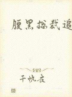 腹黑总裁追娇妻