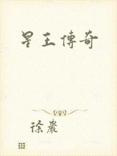 星王传奇