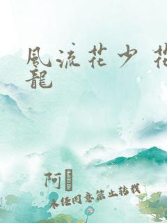 风流花少 花睿龙
