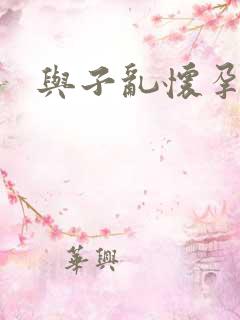 与子乱怀孕小说