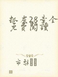 抓灰28章全部免费阅读