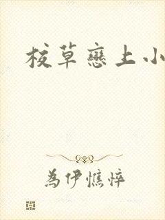 校草恋上小丫头