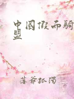 中国假面骑士联盟