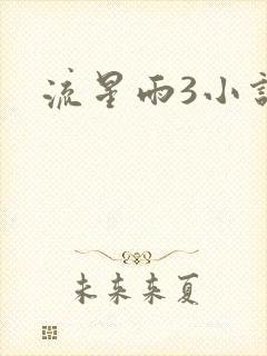 流星雨3小说