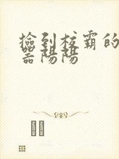 捡到校霸的遥控器阳阳