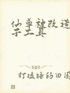 仙尊被改造成产子工具