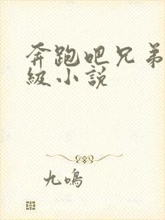 奔跑吧兄弟限制级小说