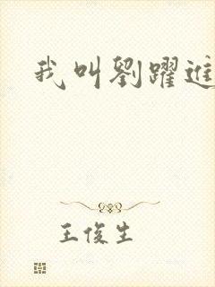 我叫刘跃进下载