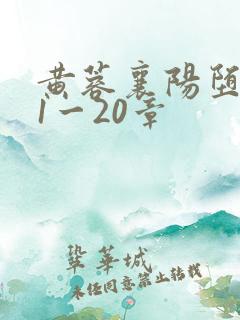 黄蓉襄阳堕落史1一20章