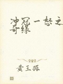 冲冠一怒之合租奇缘