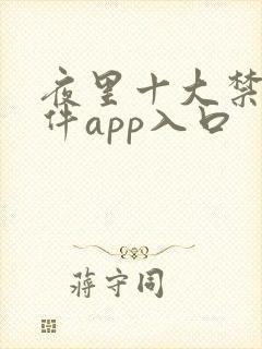 夜里十大禁用软件app入口