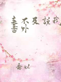 来不及说我爱你番外