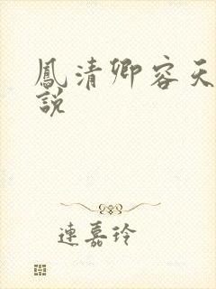 凤清卿容天凌小说