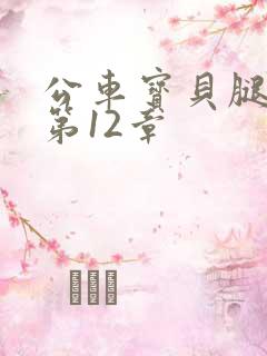 公车宝贝腿开点第12章