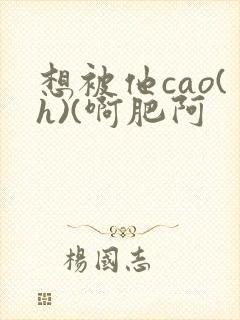 想被他cao(h)(啊肥阿