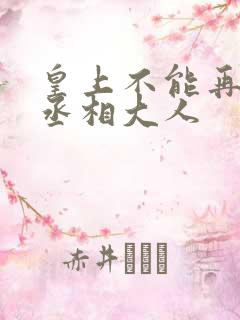 皇上不能再进了丞相大人