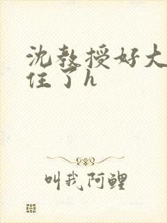 沈教授好大含不住了h