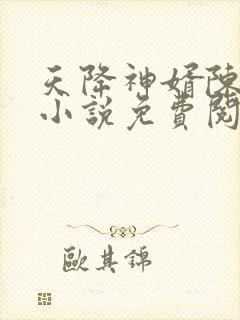 天降神婿陈黄皮小说免费阅读