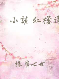 小说 红楼遗秘