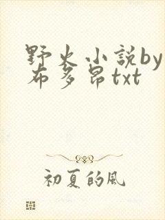 野火小说by夏布多昂txt