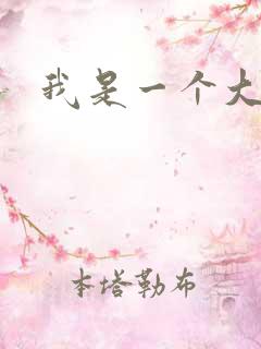 我是一个大盗贼