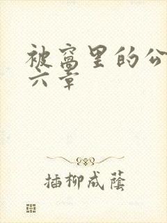 被窝里的公息第六章