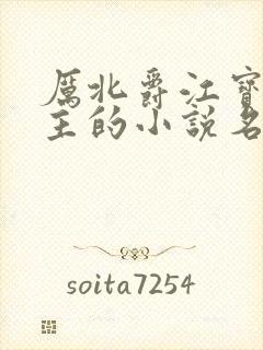 厉北爵江宝宝男主的小说名字