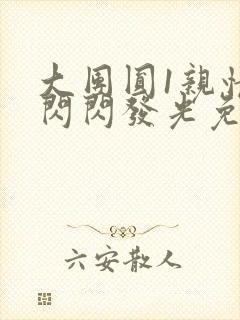 大团圆1亲情会闪闪发光免费