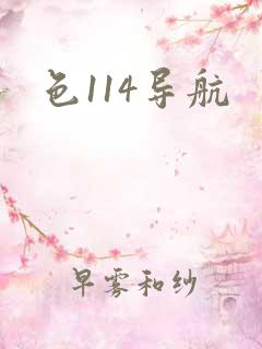 色114导航