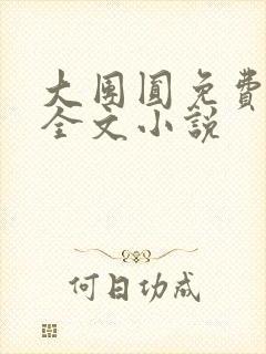 大团圆免费阅读全文小说